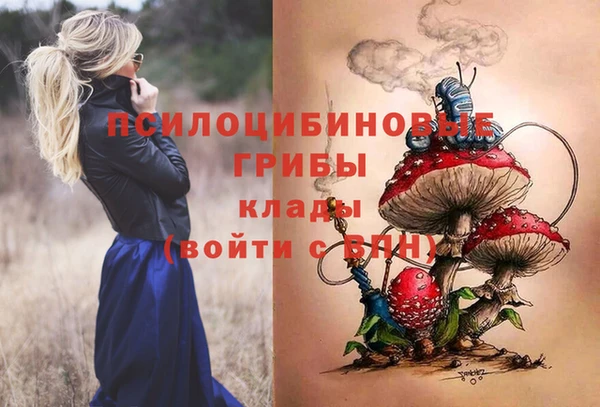 СК Бронницы