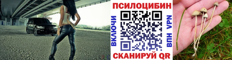 Галлюциногенные грибы Magic Shrooms Губкин